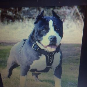 Meet your Posher, Cathy